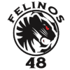 Felinos 48